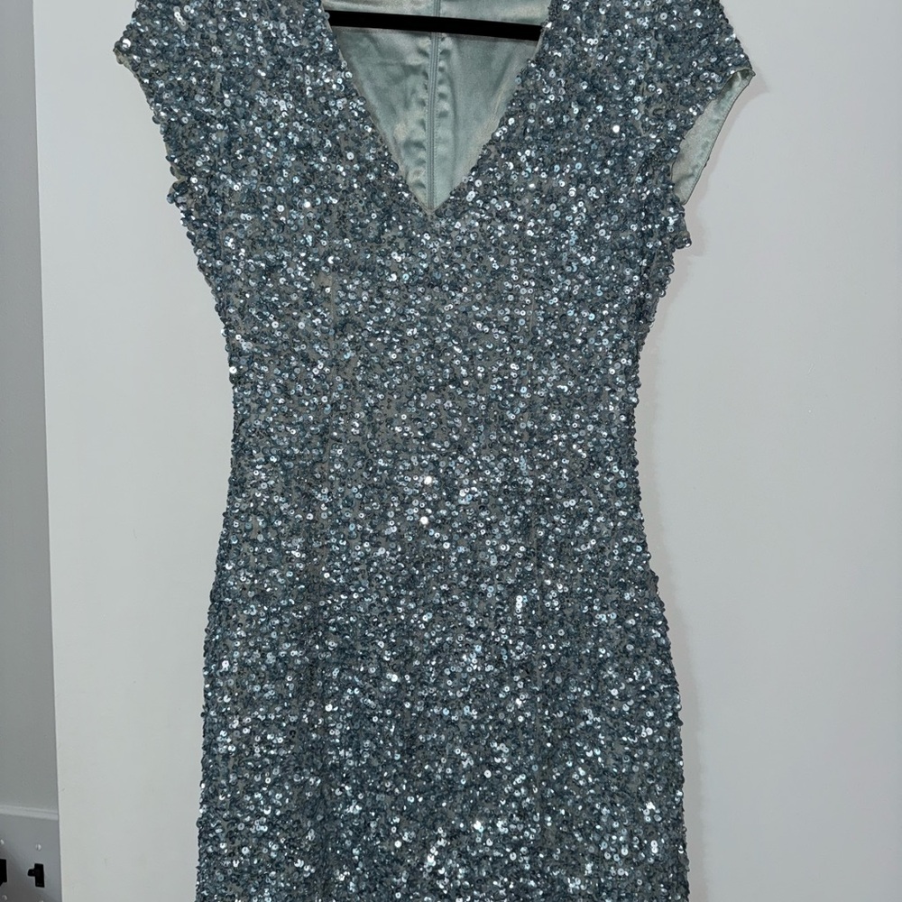 Elegant Silver Sequin Dress